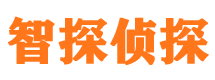 恩施市调查公司